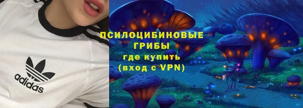 2c-b Краснотурьинск