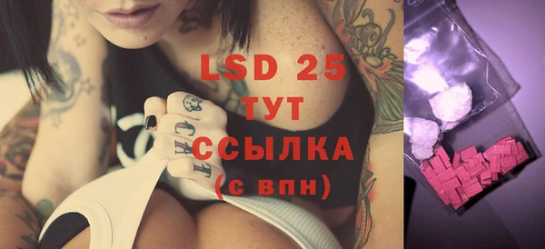 ALPHA PVP Краснослободск